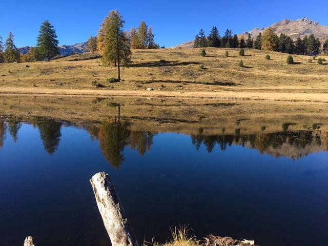 Chasa Mundin Apartment Scuol Bagian luar foto